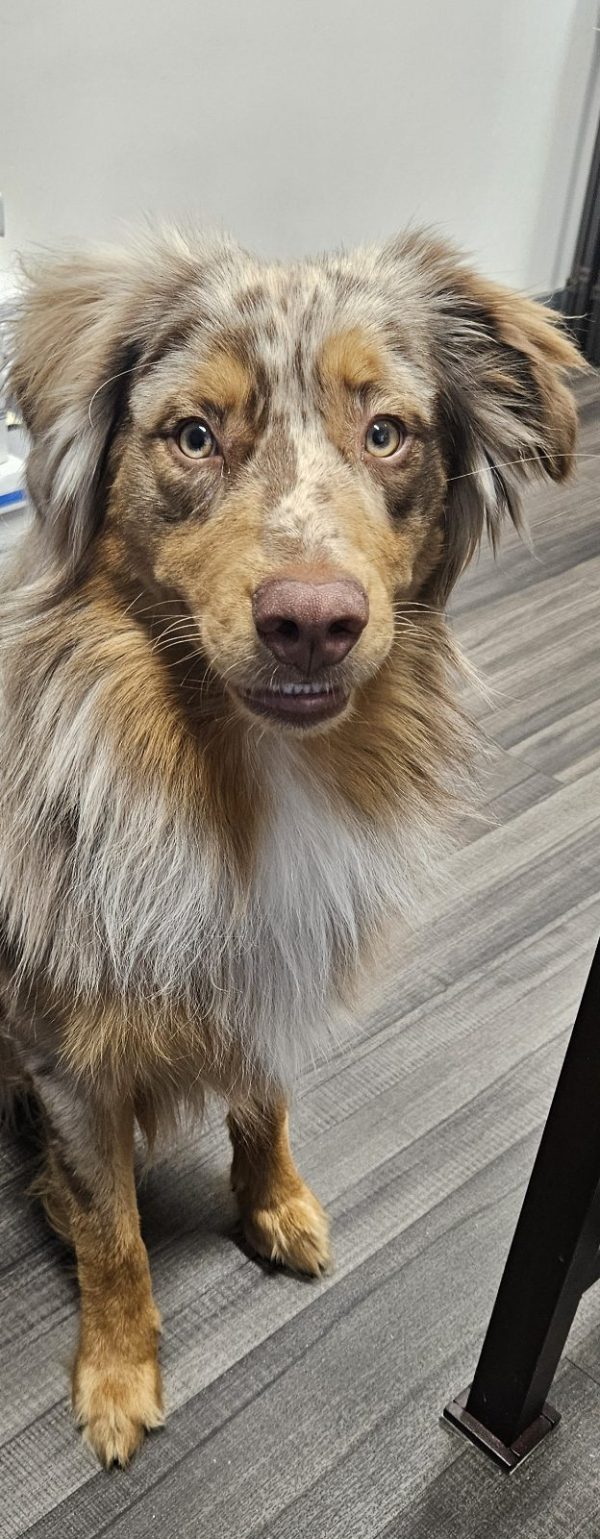 Nurse Rusty